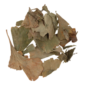 GINKGO BILOBA (MIŁORZĄB)   50g